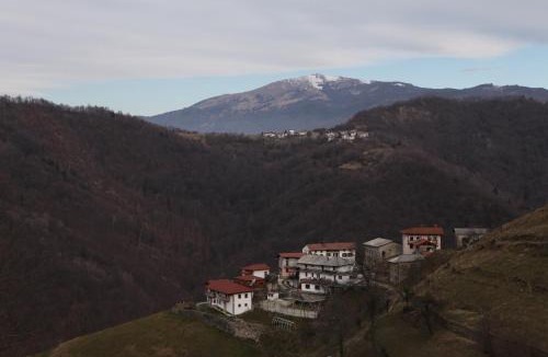 Kambresko Apartment | Apartmaji Nena