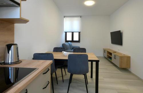 Solkan Apartment | Apartmaji Siliganum