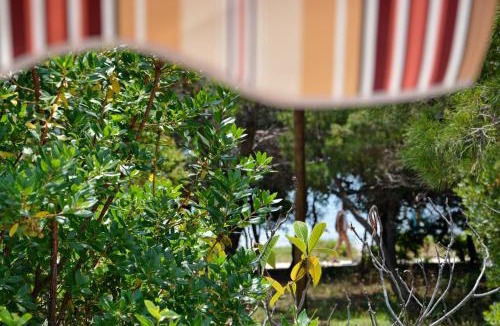 Petrcane Apartment | Apartman Kister