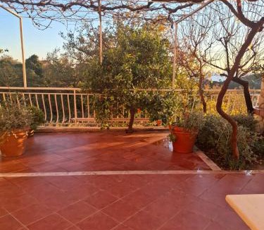 Brasina Apartment | Apartman Mirjana