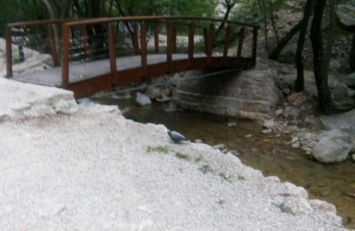Starigrad Apartment | Apartmani Nevenka