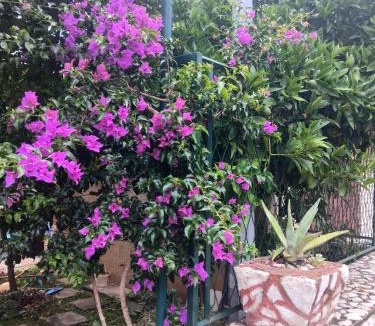 Podaca Apartment | Apartment and Rooms Danica