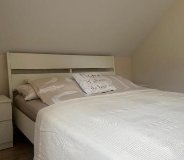 Celje Apartment | Apartment Belaj