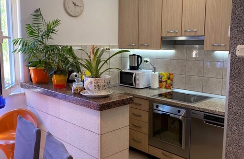 Mirce Apartment | Apartment Jak - comfortable apartments: A1-donji(4+1) - Mirca, Island Brac, Croatia