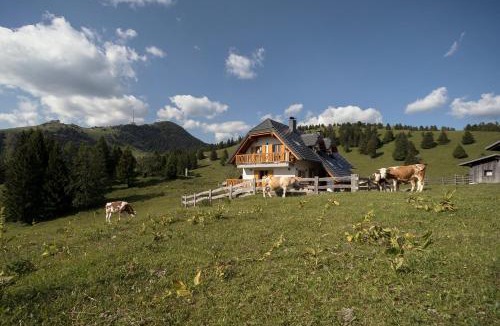 Ambroz pod Krvavcem Apartment | Apartment Jezerca - Krvavec
