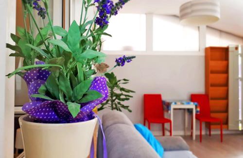 Rovinjsko Selo Apartment | Apartment Matej
