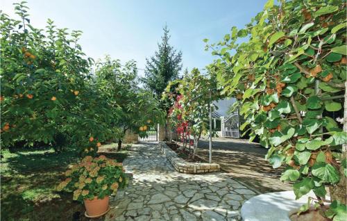 Nova Vas Apartment | Apartment Ograda Vi