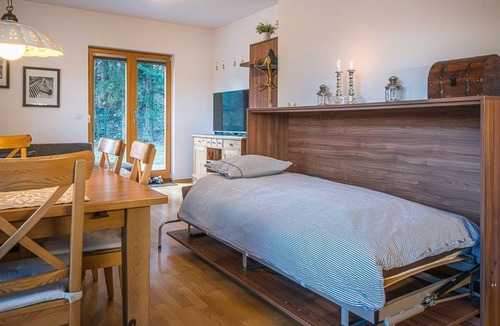 Kranjska Gora Apartment | Apartment Petra, Kranjska Gora
