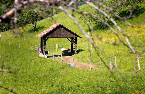 Lasko Apartment | Apartment Red on the farm Pirc