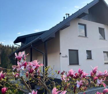Kranj Apartment | Apartment Tanja 3 Bedroom, Mountain View & Family Stay