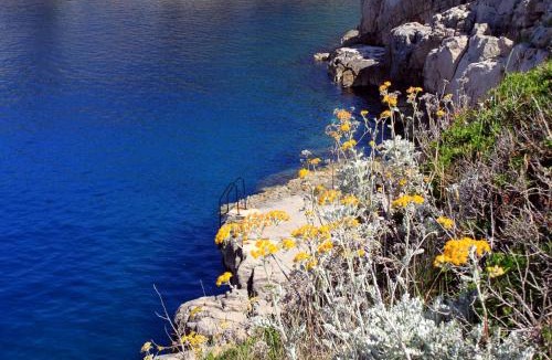 Veli Losinj Apartment | Apartments by the sea Veli Losinj, Losinj - 24542