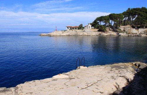 Veli Losinj Apartment | Apartments by the sea Veli Losinj, Losinj - 24542