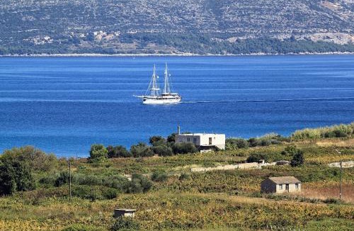 Lumbarda Apartment | Apartments by the sea Lumbarda, Korcula - 4358