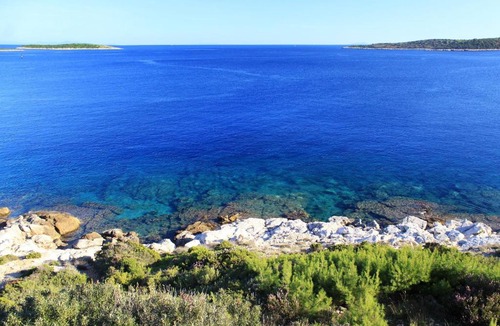 Milna Apartment | Apartments by the sea Milna - Vis - 8917