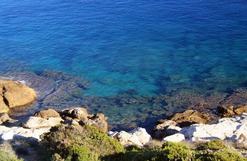 Milna Apartment | Apartments by the sea Milna - Vis - 8917