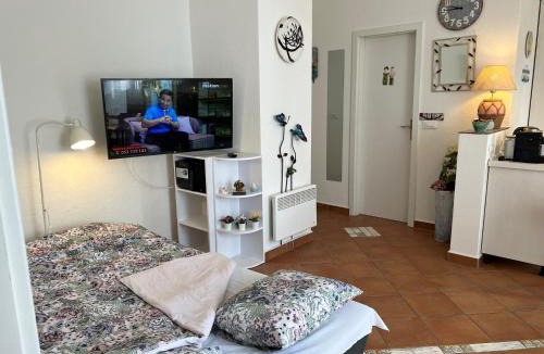 Volosko Apartment | Apartments by the sea Opatija - Volosko, Opatija - 7846