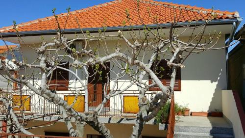 Posedarje Apartment | Apartments by the sea Posedarje, Novigrad - 12402
