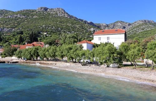 Viganj Apartment | Apartments by the sea Viganj, Peljesac - 10140