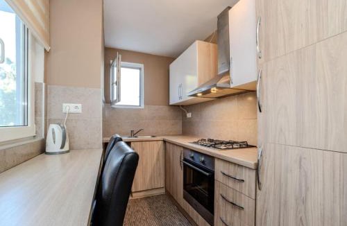 Donji Karin Apartment | Apartments Robi & Kristina - One Bedroom Apartment with Terrace A3