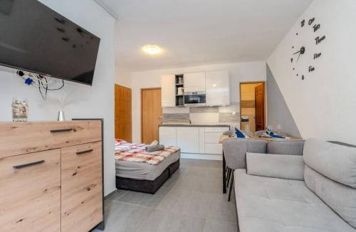 Donji Karin Apartment | Apartments Robi & Kristina - Studio Apartment with Terrace S2