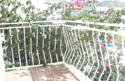 Zupa dubrovacka Apartment | Apartments Sunce
