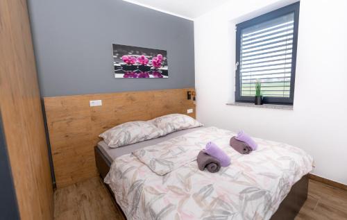 Verzej Apartment | Apartments Sunrise Banovci