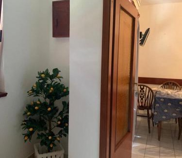 Vrboska Apartment | APARTMENTS Vuković