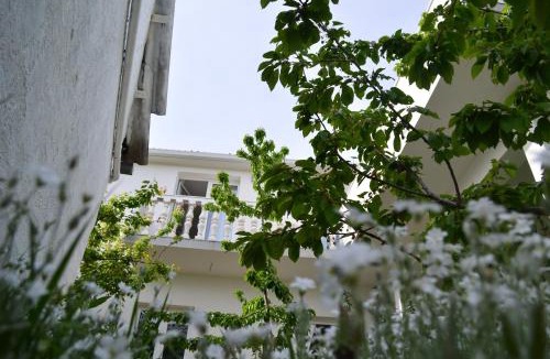 Muc Apartment | Apartments with swimming pool Gizdavac, Zagora - 12053