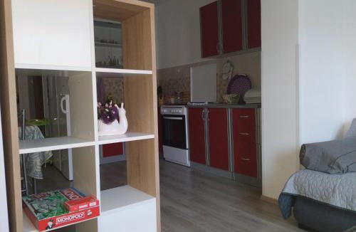 Vintijan Apartment | Apartments ZP44