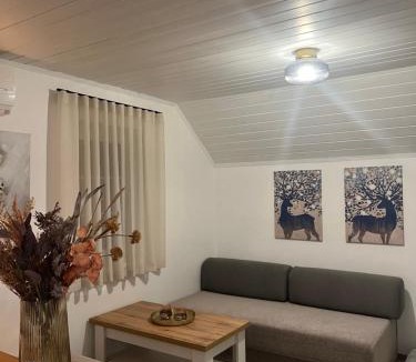 Podcetrtek Apartment | Bella Mura Nature Apartment Lipa 97