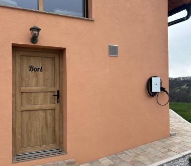 Gorisnica Cabin | Borl Apartment