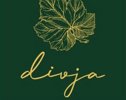 Spodnja Polskava House | Boutique Glamping Divja DiVine