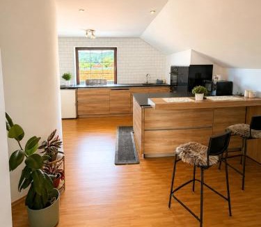 Hrastnik Apartment | Brin apartment