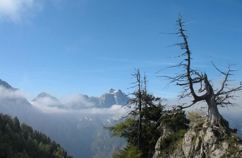 Luce Other | Camp ŠMICA