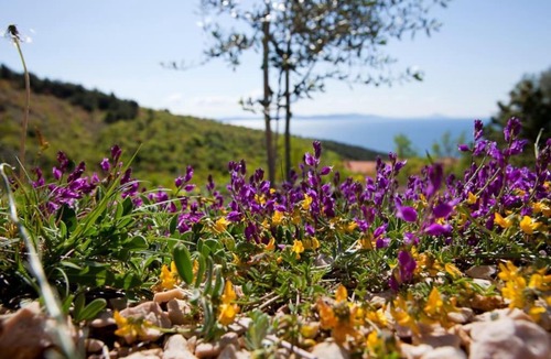 Rabac Villa | Casa Rustica
