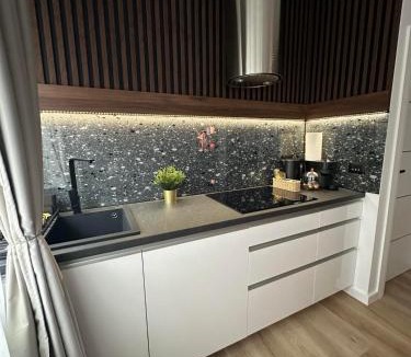 Slavonski Brod Apartment | Centar Residence