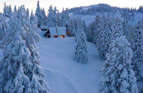 Ambroz pod Krvavcem Ski Chalet | Chalet Alpinka