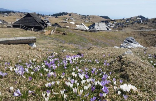 Kamnik Ski Chalet | Chalet Pehta Velika Planina