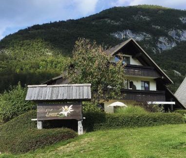 Stara Fuzina Apartment | Charming and Cozy Apartment Sara