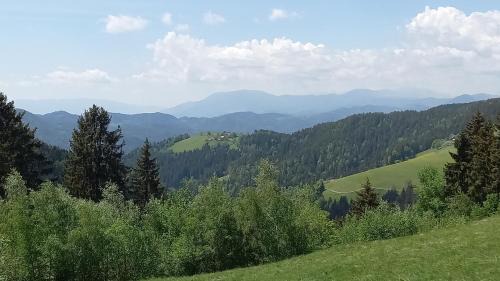 Pohorje House | Country House & Spa