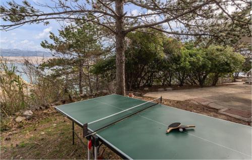 Bosana Apartment | Cozy Apartment In Novalja With Wifi