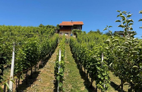 Ivanec House | Dedina Klet - Vineyard Cottage with Mountain View
