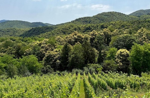 Ivanec House | Dedina Klet - Vineyard Cottage with Mountain View