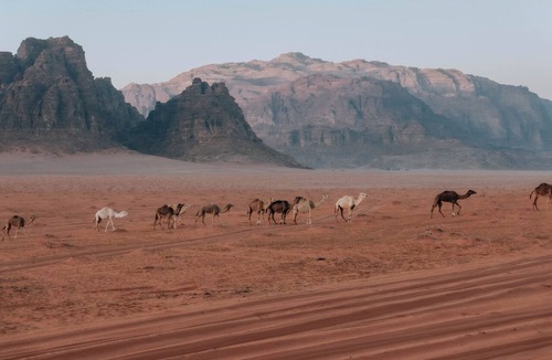 Aqaba RV Rental | Desert camp and retreat center with staff and cook in Wadi Rum, Jordan