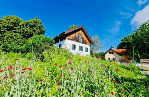 Majsperk House | Estate Ana