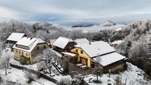 Lasko House | Farm Stay Šolinc