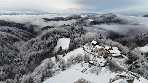 Lasko House | Farm Stay Šolinc