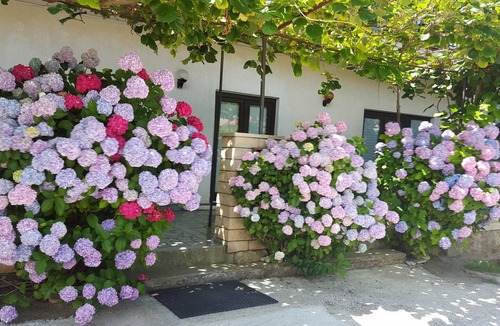 Valbandon Apartment | Ferienhaus Magdalena - Secure the last free places in August