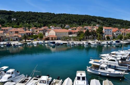 Veli Iz Apartment | Galeb 3