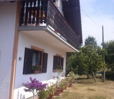 Catrnja Apartment | Galeva apartman